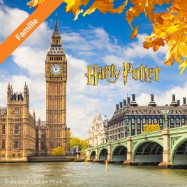 Week-end à Londres Harry Potter (séjour 1)