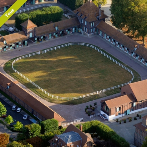 Journée au Haras de Jardy